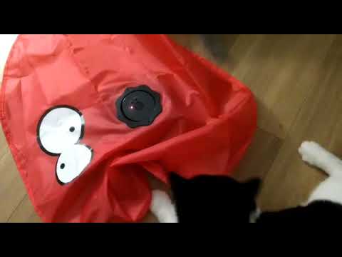 ein tolles Geschenk zum 1. Geburtstag :-)