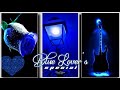 Blue Lover Special New Trending Blue Lover WhatsApp Status Blue Lover Special 4K Stetus