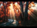 Midnight Odyssey - From Forest To Firmament 