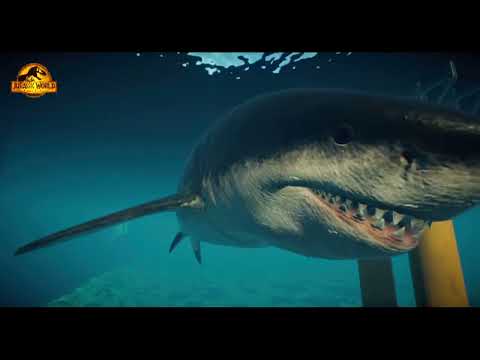 BATMAN T-REX vs SUPERMAN TREX DEATH RUN EVOLUTION of DINOSAUR | Strongest Dinosaur Jurassic World 2