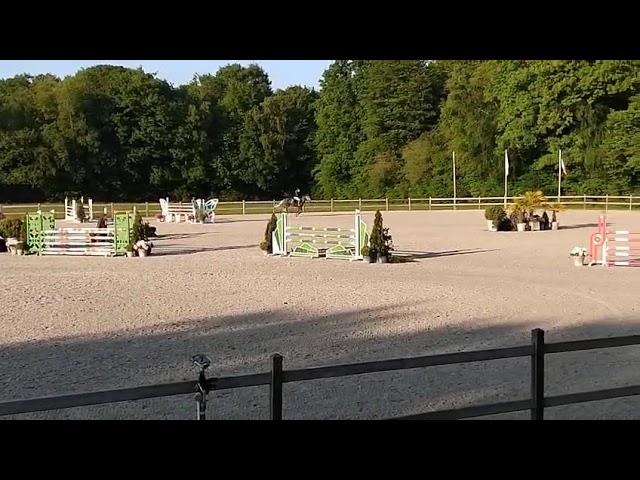 Jument amateur &eacute;lite 