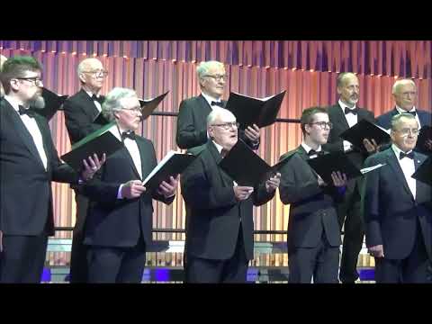 (1) RĪGAS VĪRU KORU KONCERTS ZVAIGZNES MIRDZUMĀ MEŽAPARKA ESTRĀDES KOKARU ZĀLĒ. RĪGA, 12.10.25.