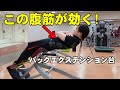 バックエクステンション台による腹筋エクササイズ【糸井トレーナー】