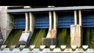 preview picture of video 'Grand River Shand Dam, Belwood Ontario'