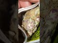Northern Lights 🔥⛽ Top Shelf