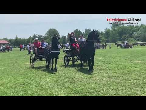 Comuna Curcani - 15 iunie 2019