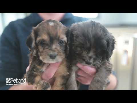 Kennel Tour 169