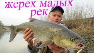 Ссылка
