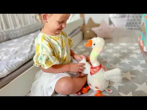 Zwariowana Gęś Dumel Discovery