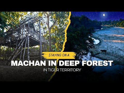 I Went Deep into the Jungle 😱 | Machan Stay & Porcupine Trail