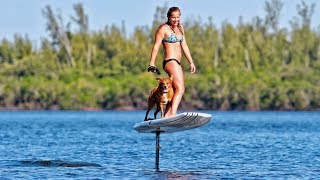 First Time on an Electric Foil (We Brought Our Dog!)