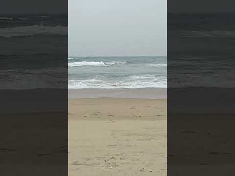 #aliyasong #beach #naturelovers #naturalbeauty #lifeisbutadream