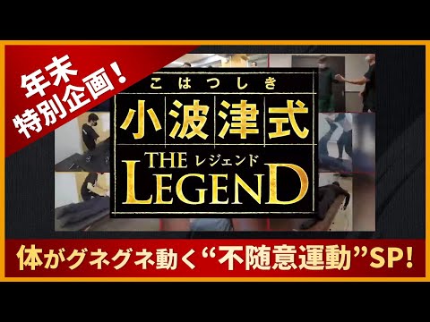 不随意運動をする犬、一体何が原因なのでしょうか?