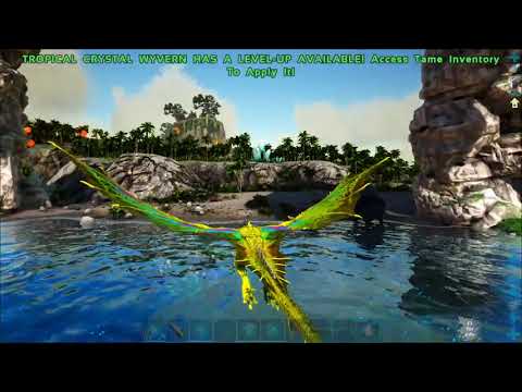 Crystal wyvern easy tame finished. quick explaination.