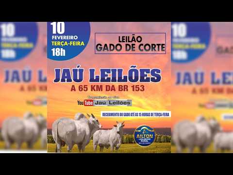 LEILÃO GADO DE CORTE  - JAU LEILÕES  - JAU DO TOCANTINS  -09/ 02/ 2026