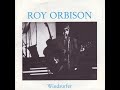 Roy Orbison .- Windsurfer. (1989. Vinilo) (Vinyl)