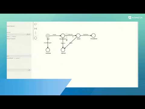 Video Image