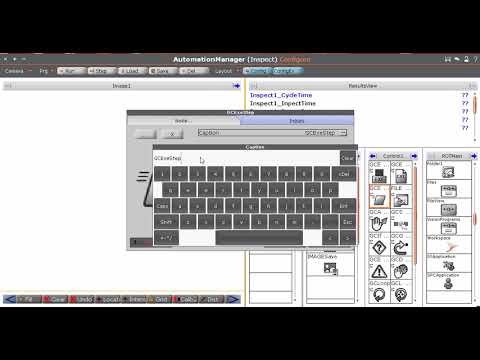 Janus program execution