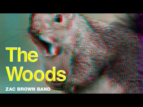 Zac Brown Band - The Woods