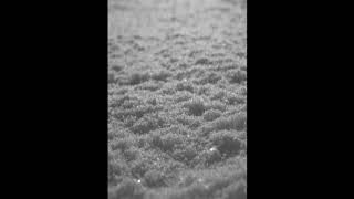 Paysage d'Hiver - Schnee lll [official]