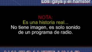 Los gays y el hamster