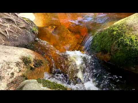 Jimmy Gee - Help! - Tribute to John Lennon