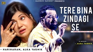 Tere Bina Zindagi Se Koi Shikwa To Nahi - Alka Yagnik | Hariharan, Rahul Dev | Dil Vil Pyar Vyar