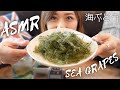 ASMR 第２弾 ️沖縄で買ってきた海ぶどうを食べてみた ASMR Eating Raw Sea Grapes 
