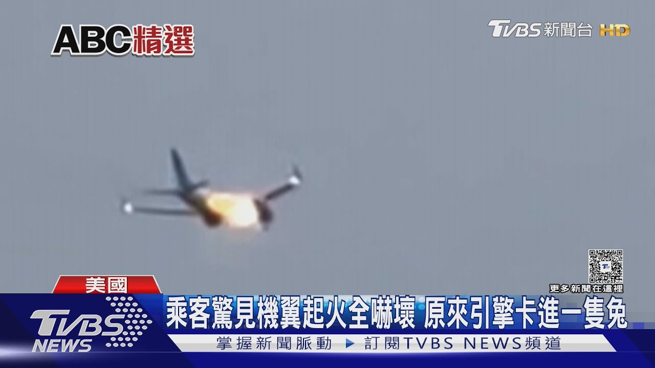 非鳥擊是卡到兔子!聯合航空起飛 引擎起火迫降