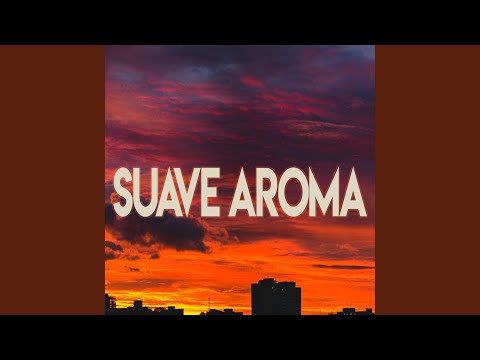 Suave Aroma