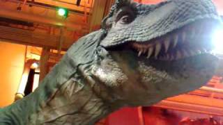 preview picture of video 'Toys'R Us Dinosaur'
