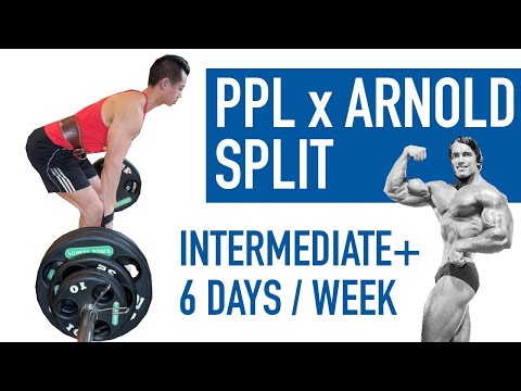 Ppl X Arnold Workout Split