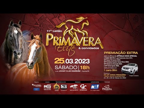 Classificatórias XVI GP Haras Primavera