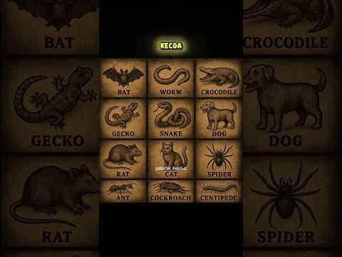 TERNYATA INILAH HAL HAL YANG LEBIH BESAR DARI YANG KITA BAYANGKAN #shorts #viral #fyp