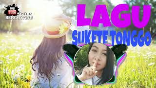 Download lagu ANGGUN PRAMUDITA - SUKETE TONGGO mp3