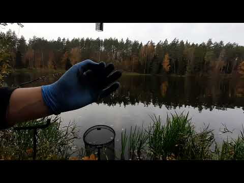 feeder w listopadzie na rzece