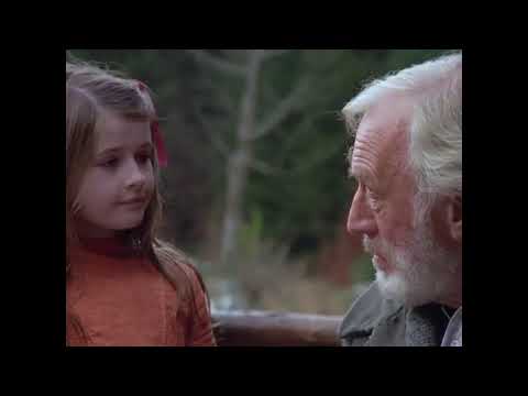 Heidi - A menina órfã da Suíça - Filme