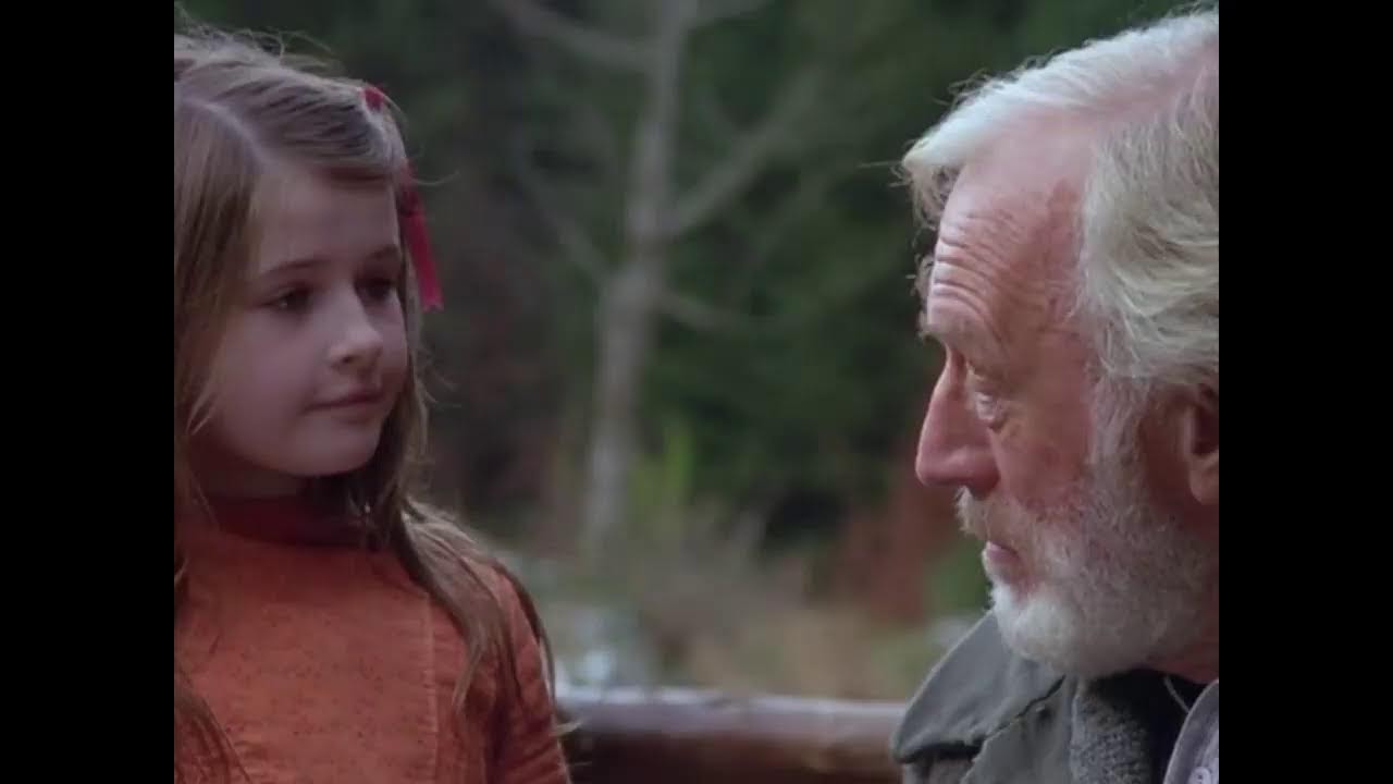 Heidi - A menina órfã da Suíça - Filme