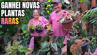 GANHEI MAIS PLANTAS RARAS 😱: CISSUS JAVANA, BEGÔNIAS, SELVA-DE-FOGO | PLANTAS LINDAS E EXUBERANTES