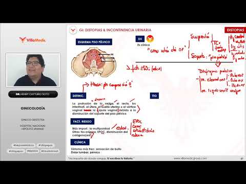 Distopias Genitales e Incontinencia Urinaria: Clasificación y Clínica | Ginecología Parte 1