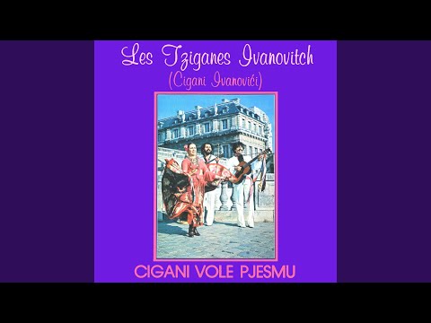 Cigani Vole Pesmu