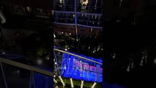 Day vs Night on Symphony of the Seas central park