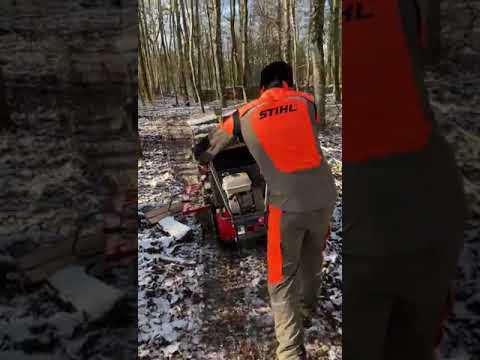 Motorschubkarre Benassi MT350