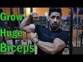 How to Grow Huge Biceps | Top 3 Exercise for MASS | Beginner Workout