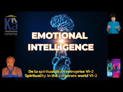Emotional Intelligence | Spirituality in the Corporate World PART VI-2 | Danh Zohar SQ