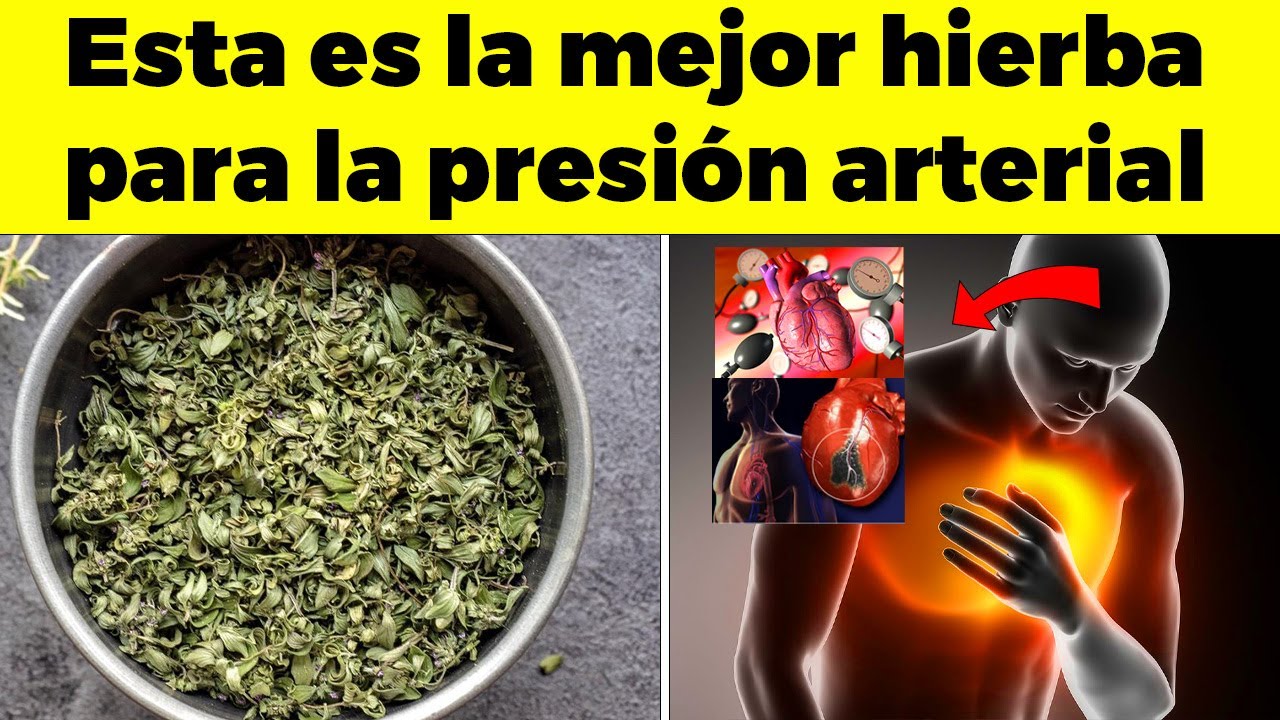 ¡ESTA es LA MEJOR HIERBA Para Bajar la Presión Arterial!