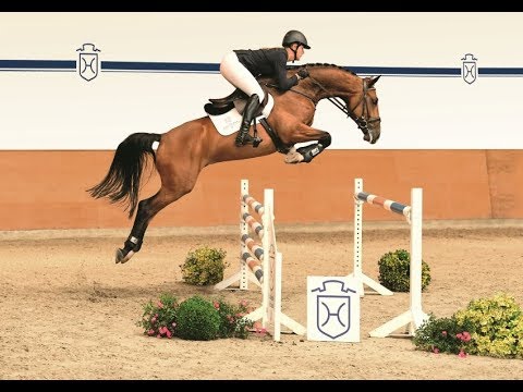 130 | Nino v. Nekton - Con Air