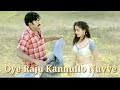 Oye Raju Kannullo Nuvve{ఓయ్ రాజు కన్నుల్లో నువ్వే}Video Song Lyrics From Aay