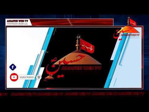 Safar-e-Karbala - Majlis 28 Rajab 1440 Maulana Ali Murtaza Zaidi