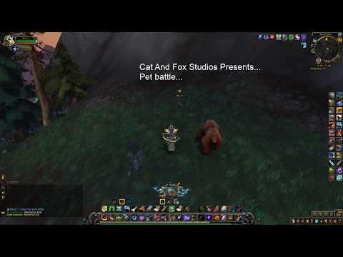 Unit 17 - Pet Battle Bfa WoW Mechagon